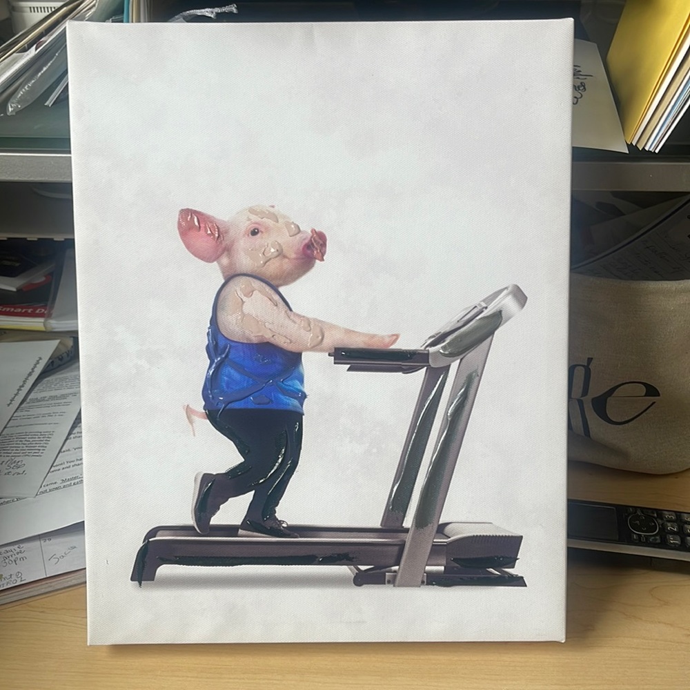 Cute PIG on Treadmill Picture